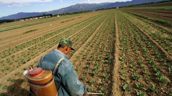 si mancarea poate fi poluata