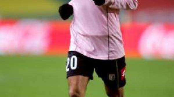 paul codrea dracusorul determinant pentru siena