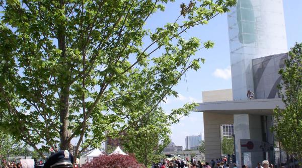 spectacol cu vanzare