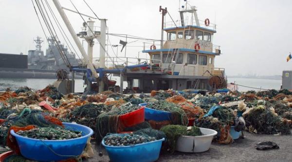 calcan si focuri de arma pe mare