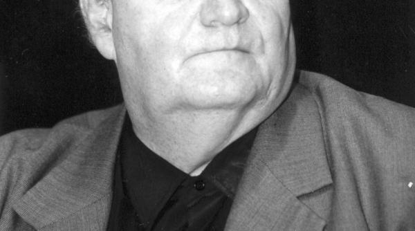 sa ne cunoastem scriitorii alexandru stefanescu