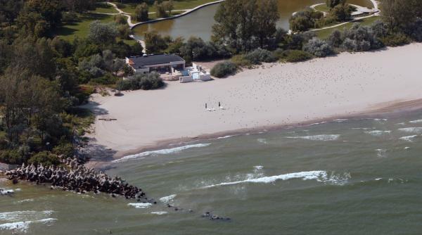 conspiratia trompetelor