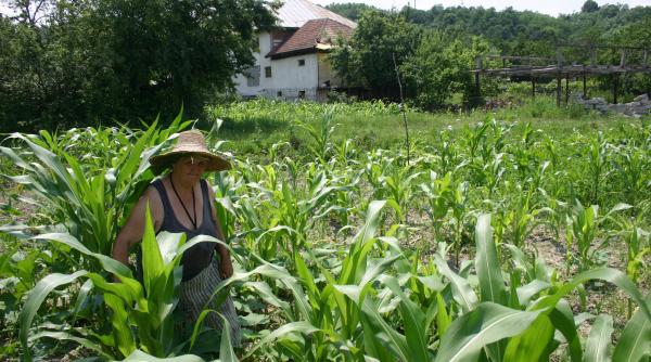 megaescrocherie lacul fantoma de la ceauru