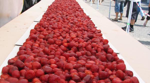 romania in cinci minute