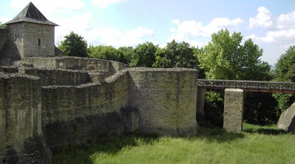 nici un leu pentru cetatea de scaun