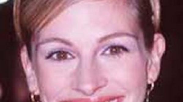 born in the usa julia roberts si elin woods la maternitate