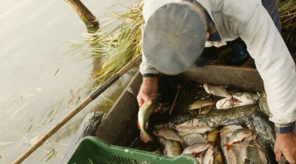 braconajul denuntat si de pescari