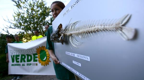 canalul bistroe angajament al ucrainenilor
