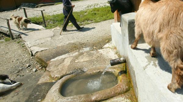 comoara de sub labele gastelor