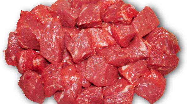 salmoneloza boala igienei precare