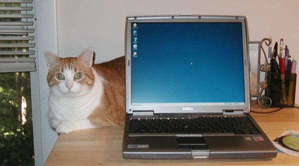 surprizele trecutului