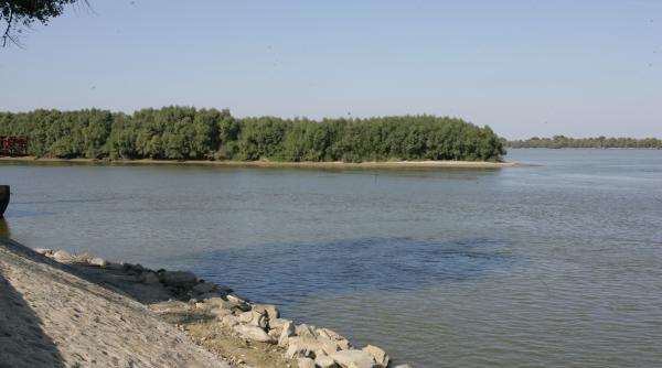 dig de dirijare pe bratul rau