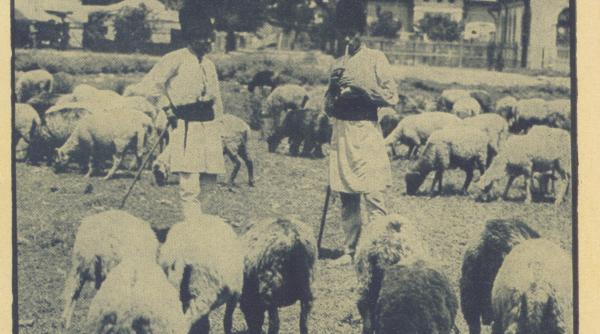 o stana in preajma bucurestilor