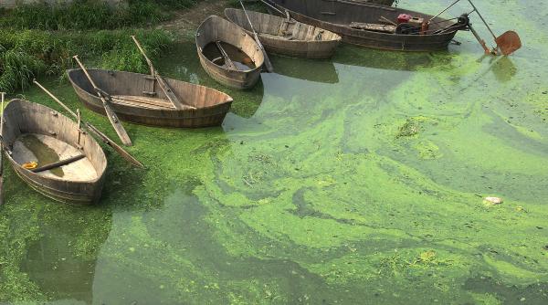 inchisoare pentru marii poluatori