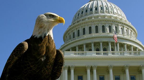 vulturul plesuv a fost salvat