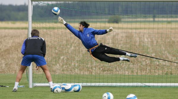 univ craiova bornescu promite