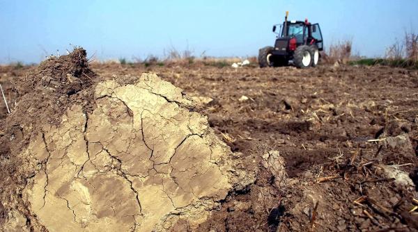 constructiile urca pib ul