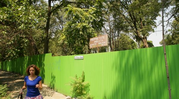 razboiul primarilor pe parcul bordei