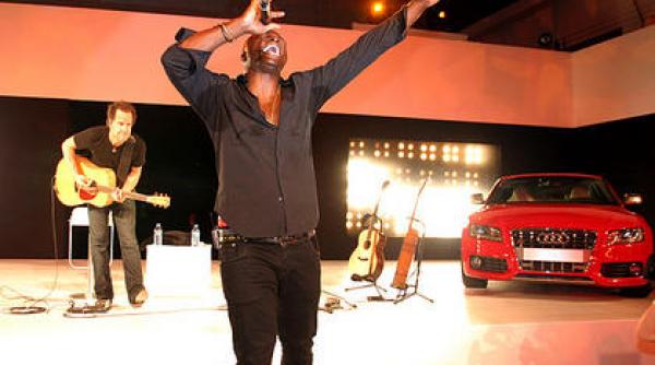 seal specialist in masini