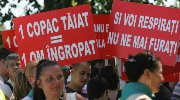 basescu a uitat ca a dat bordeiul lui constanda