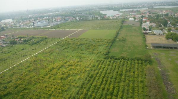 caracatita imobiliara