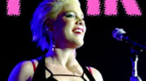 vedeta pink doreste sa infieze un copil