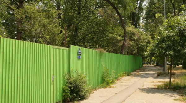 cazul bordei lectie de drept