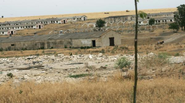 agricultura sovietica solutii americane