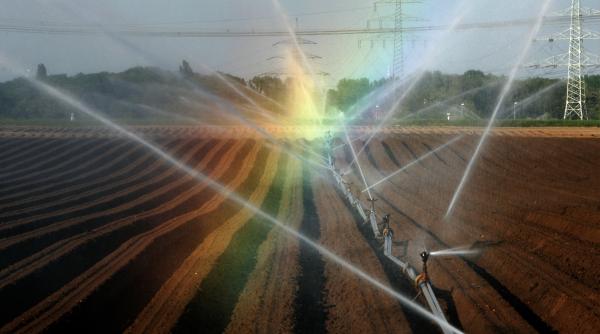 fermele mici nu pot lua bani ue