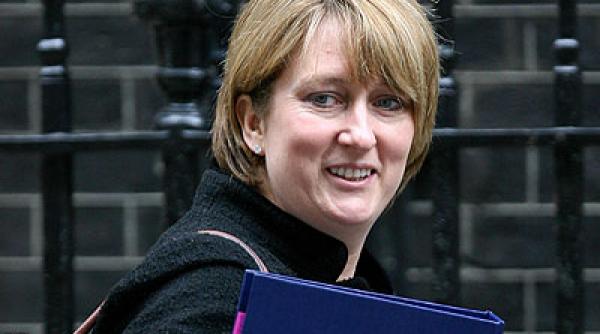 au avut nevoie si de iarba