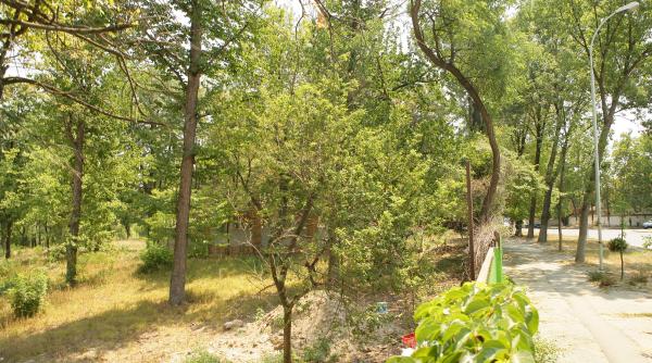 zeci de mii de semnaturi pentru parcul bordei