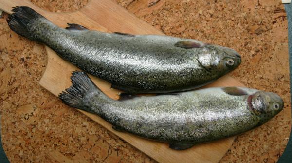 info bun de consum 21 iulie 2007