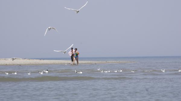 plaje inchiriate ilegal in delta