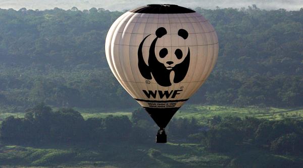 panda salveaza lumea