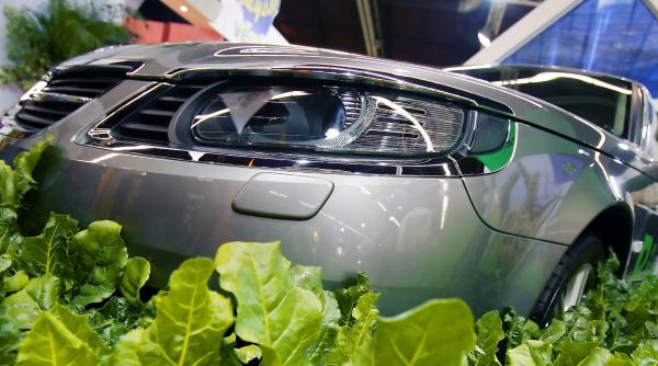 paine sau biocombustibili aceasta i intrebarea