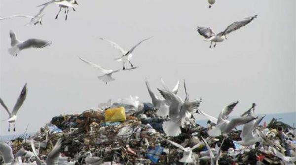 reportaj cu batista la nas