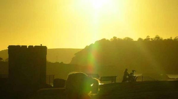 cod galben din nou canicula