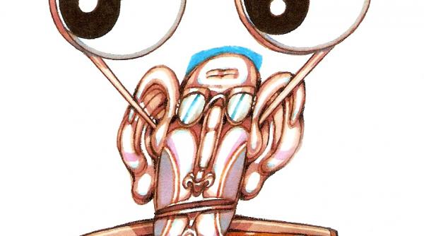 la un pas de nirvana