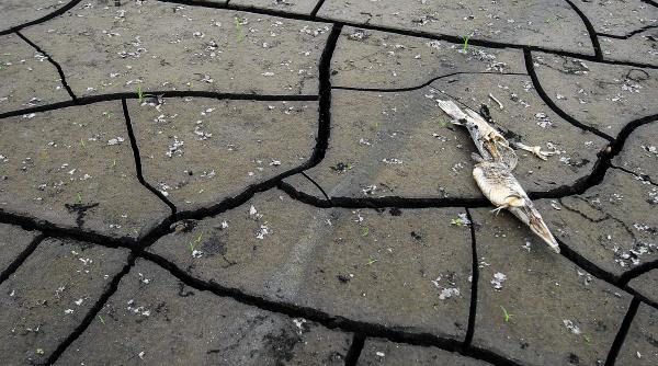 seceta din 2007 mai rea ca in a 128 153 46