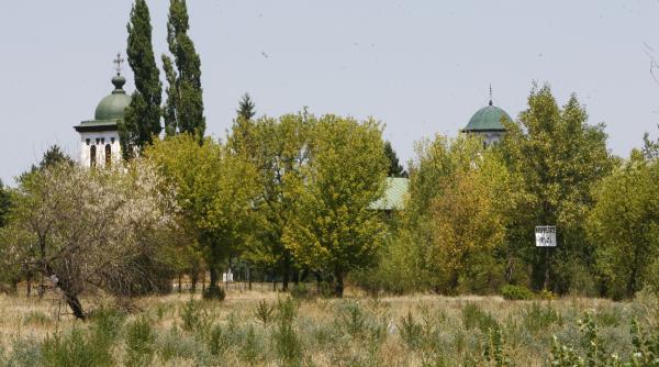parcul plumbuita hacuit ca bordeiul