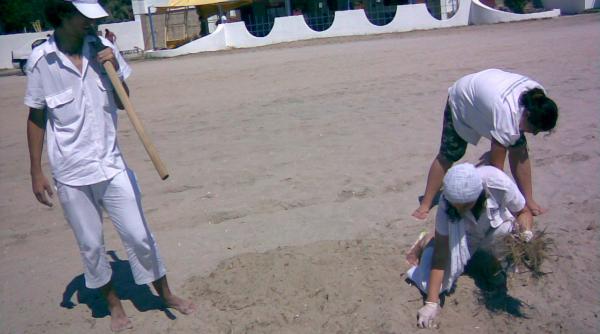 ecoassist deseuri colectate selectiv pe plaja din venus