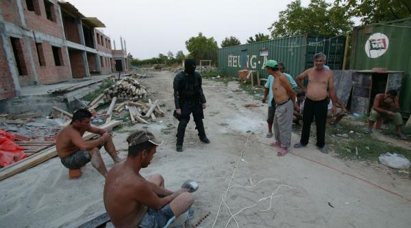 ilegali pe plantatia ozer