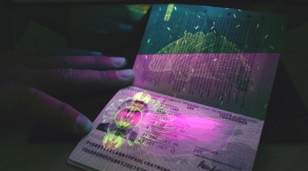 licitatie cu scantei la interne