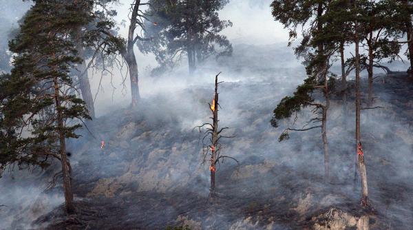 nu avem cu ce stinge incendiile de padure
