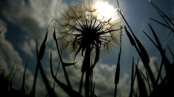 rochia ei alba de dantela