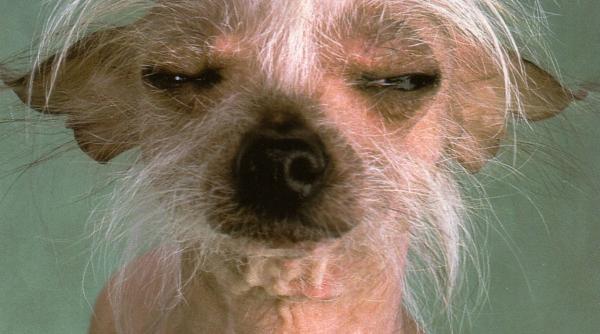 varsta intre doua teorii