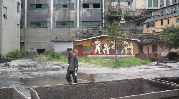 liderii grevei din valea jiului destine de roman