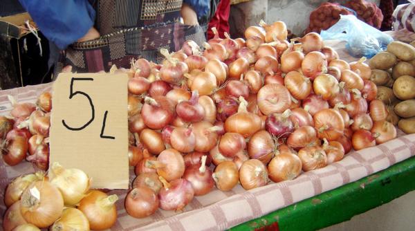 moldova in pragul unei catastrofe umanitare