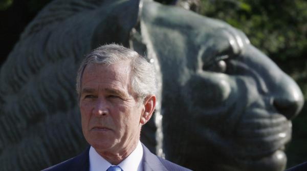 bush imbolnavit de capuse