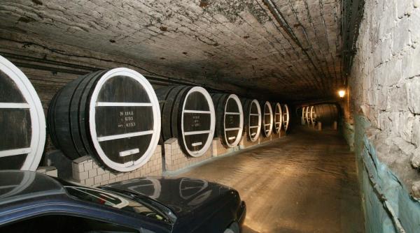 guvernul recomanda vacanta la tiraspol